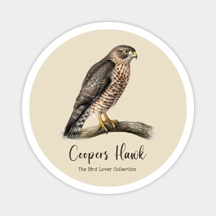 Coopers Hawk - The Bird Lover Collection Magnet